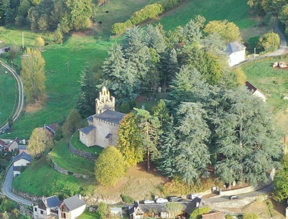 CHAPELLE DANS SON ECRIN DE CEDRES